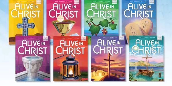 Collection of colorful 'Alive in Christ' religious study books with Christian symbols on covers.