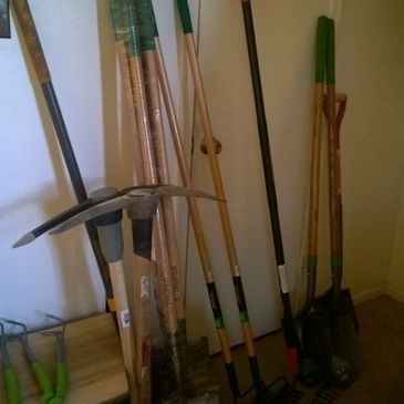 Shovels, Pick Axes, Rakes to plant trees