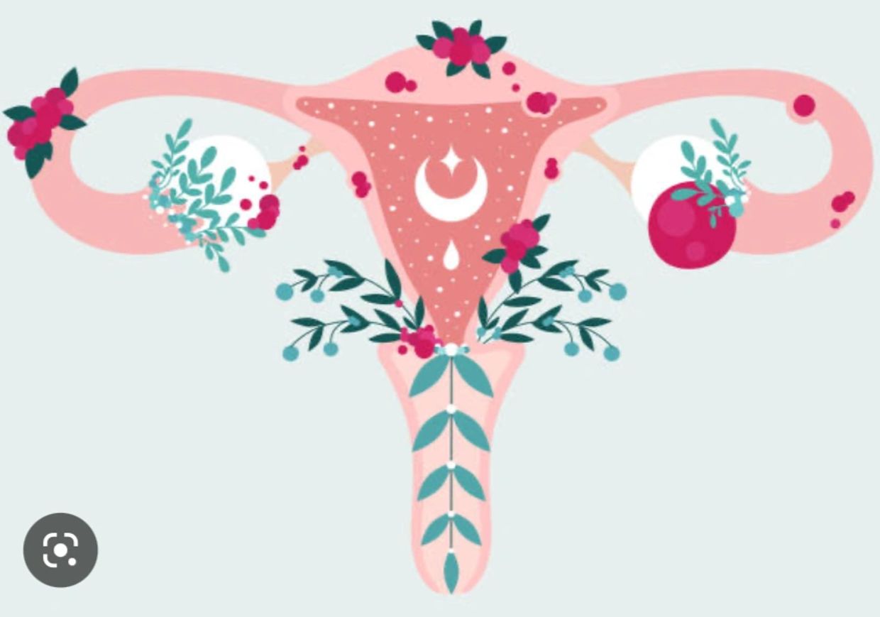 Abstract artwork of female reproductive system.