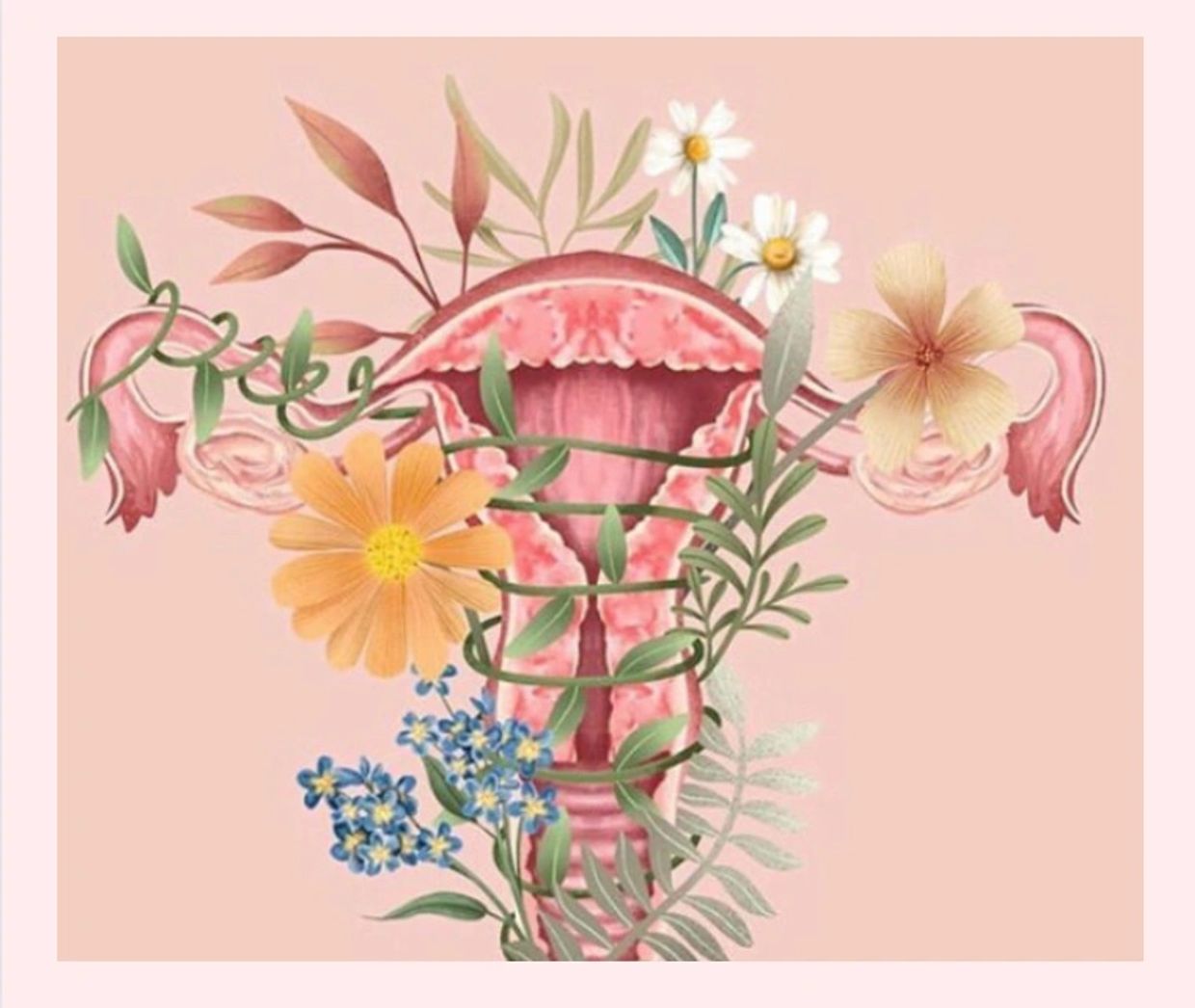 Illustration of flowers as a womb space 