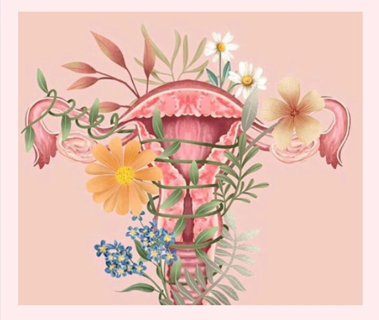Illustration of flowers as a womb space