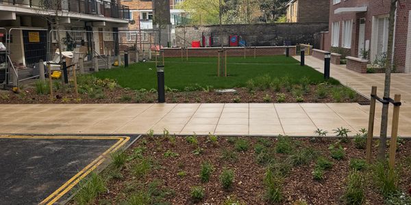 Newly landscaped courtyard with grass, plants, and a playground in an urban residential area.
