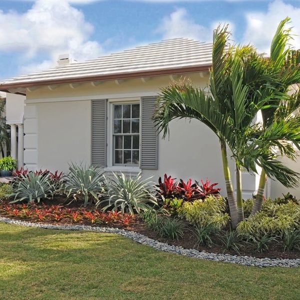 Front yard landscaping. large palm and mulch with rocks in landscape bed