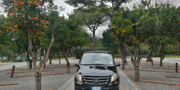 Mercedes Vito ,Pompei