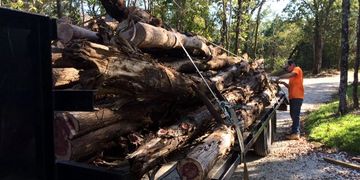 Hauling oak and cedar logs from a clearing project in Valley View, Texas.