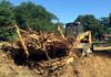 Tree clearing and stump removal in Argyle, Texas.