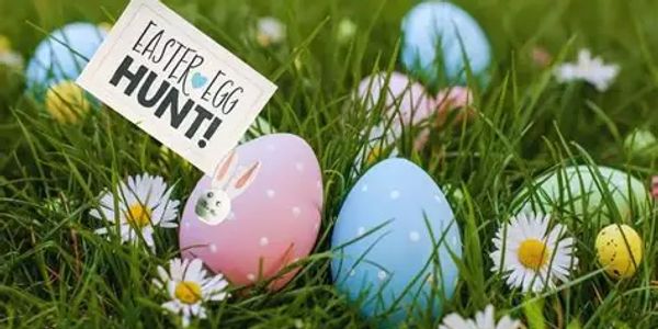 Colorful Easter eggs hidden in grass for an Easter egg hunt.