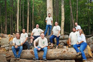 Group of people posing on cut tree logs in a forest.