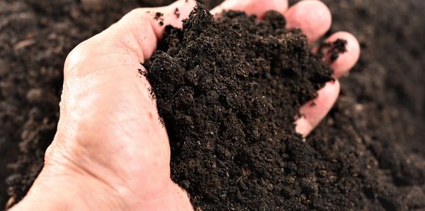 Hand holding rich, dark soil with more soil in the background.