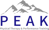 PEAK logo