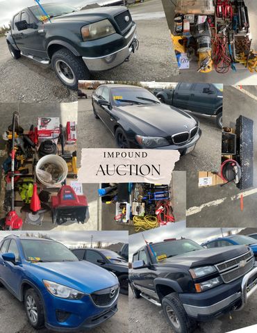 city of fairbanks auction