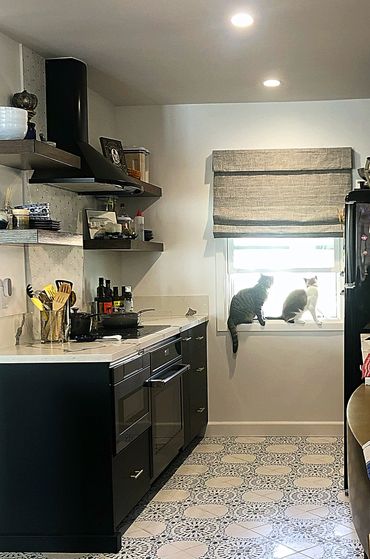 view of kitchen with two cats in the window and the sun shining behind them.