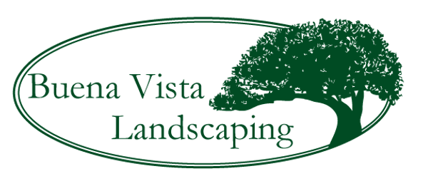 Buenavista Landscaping