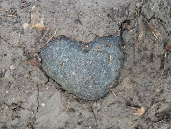 Heart shaped rock