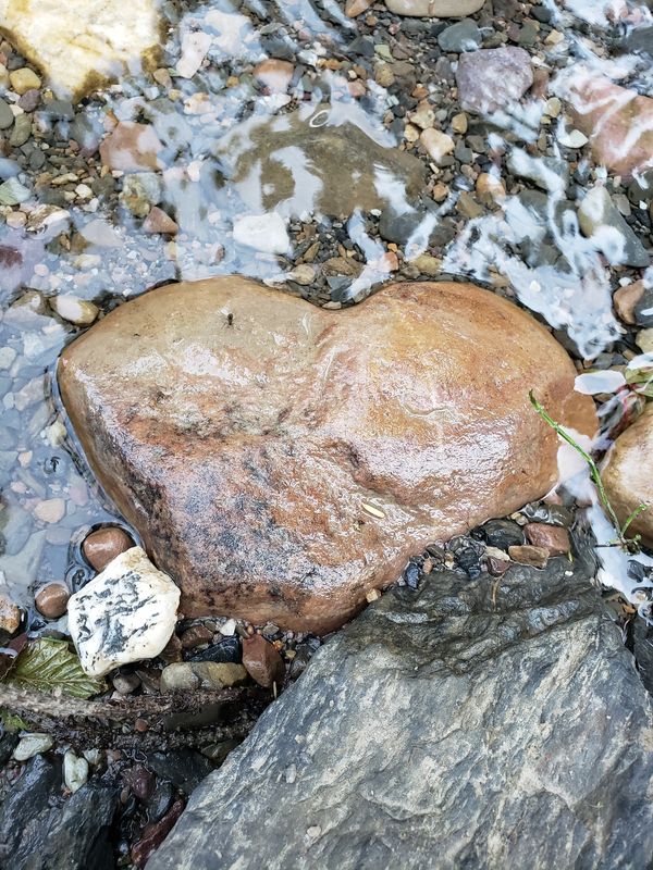Heart shaped rock in river.