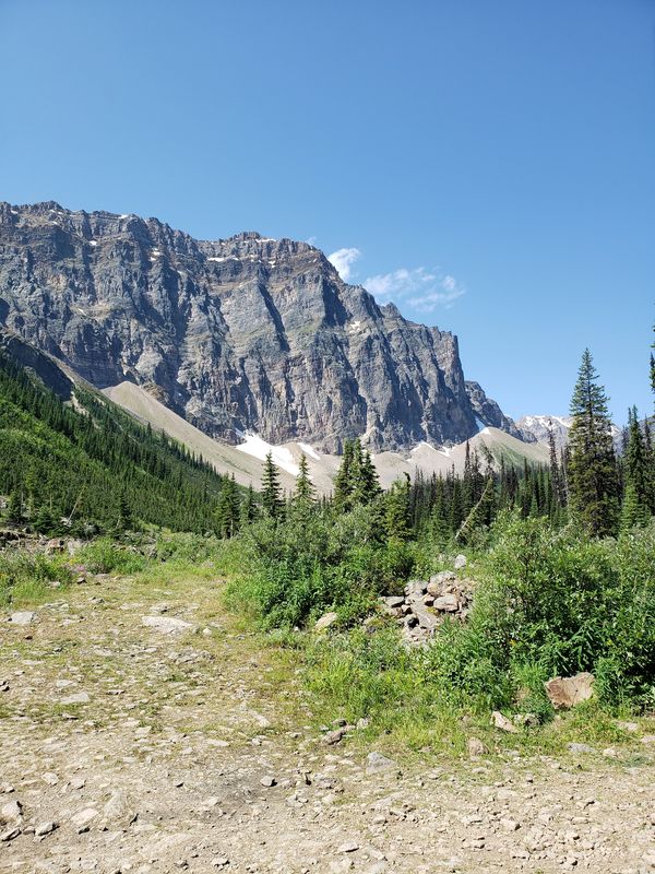 Mountains in Kicking Horse, British Columbia