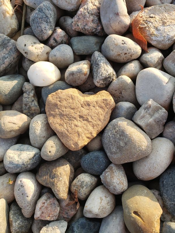 Heart shaped rock.