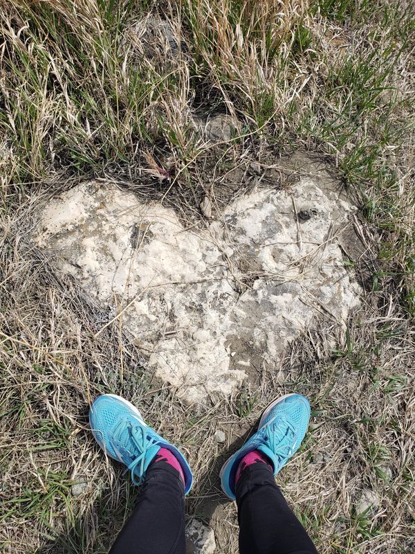 Heart shaped rock with teal runners
