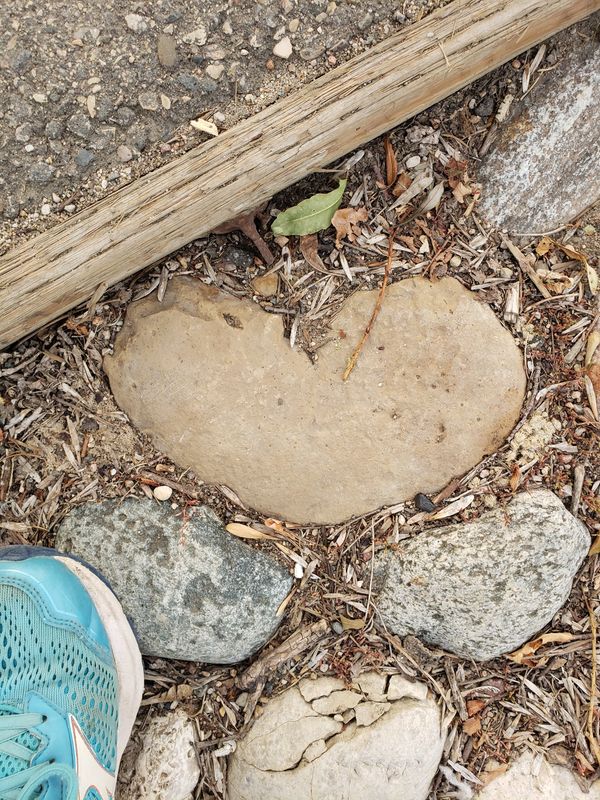 Heart shaped rock