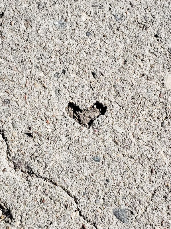Heart shape in sidewalk