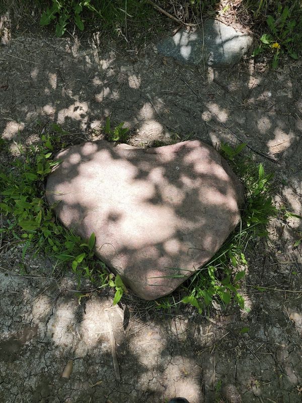 Heart shaped rock