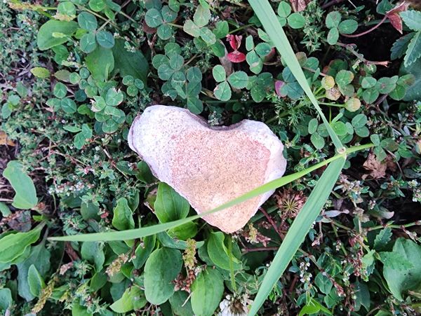 Heart shaped rock surrounded by the green Earth.