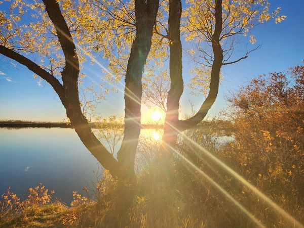 Sunset; Condie Nature Refuge; Saskatchewan Canada