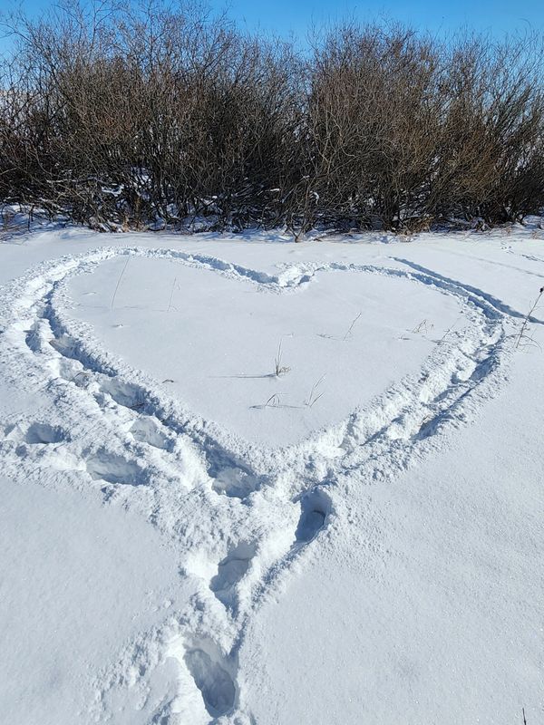 Heart shape in snow