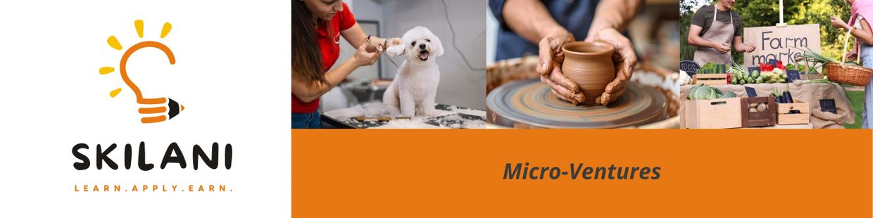 Skilani promotes micro-ventures like pet grooming, pottery, and farm markets.