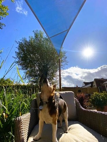 Blue Shade Sail Banbury