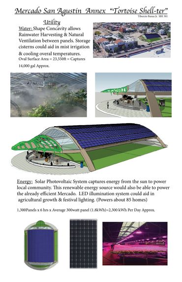 Tortoise Sustainable Design Photovoltaic System Rain Water Harvesting