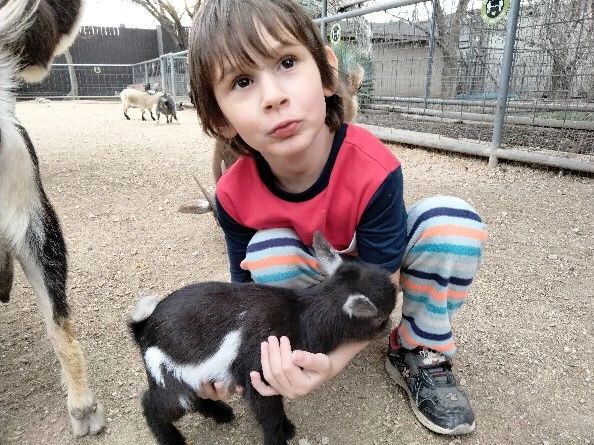 Boy holding a baby goat at a petting zoo.