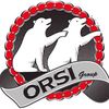 Logo with two white bears and 'ORSI Group' text.