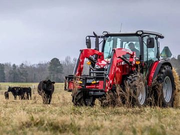 Red tractor among black cows in a cloudy field.