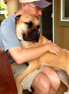 Vice President/Pet Sitter