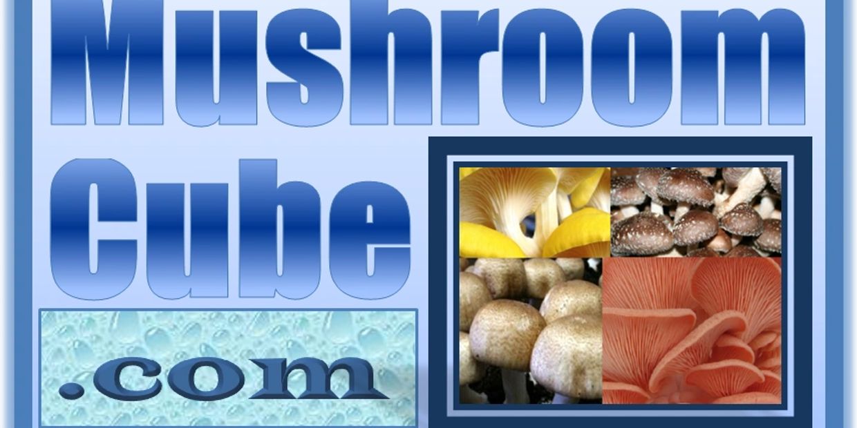 MushroomCube Logo