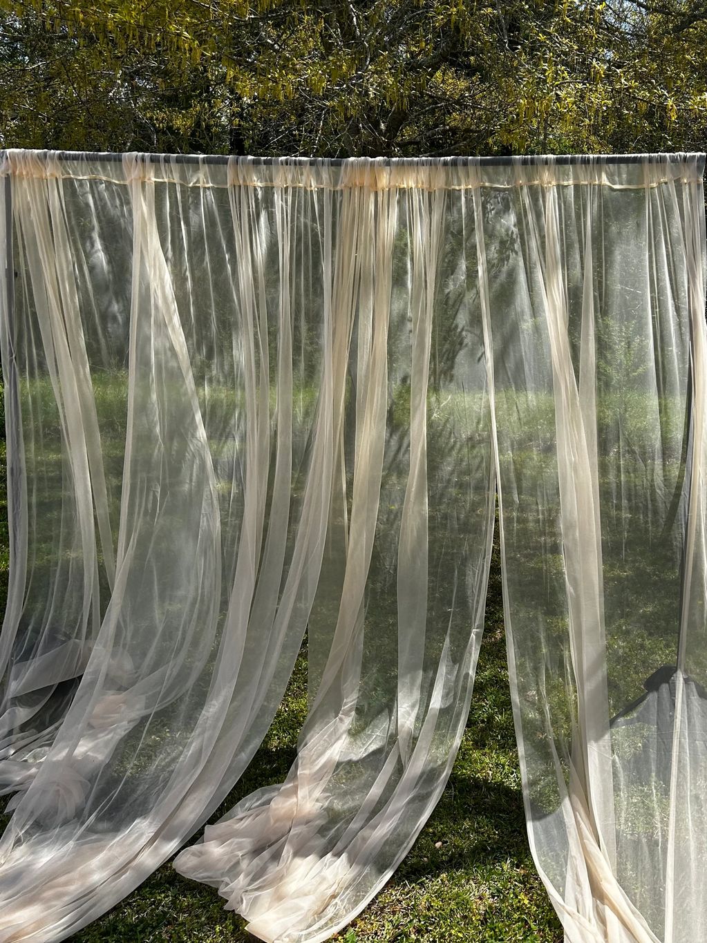 Champagne transparent backdrop
