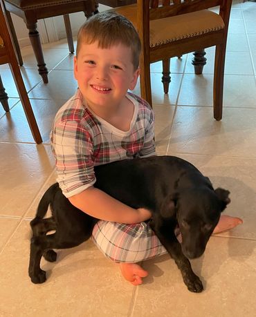 This is Piper getting to know Welles in her forever home after being adopted as a rescue dog.