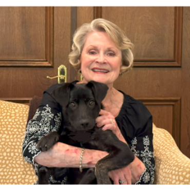 Piper is meeting Marilyn for the first time to prepare to adopt her after being a rescue dog.