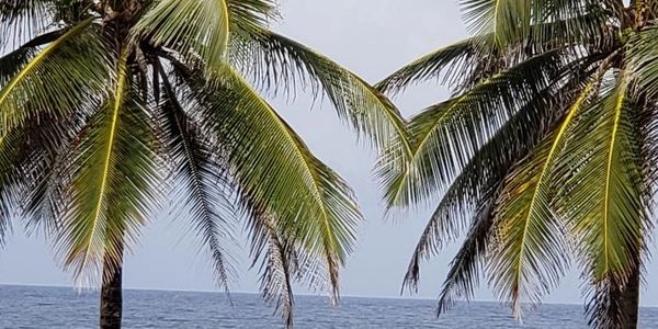 Bathsheba Beach, Barbados