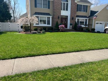 Fertilizer on weed control to keep your lawn healthy