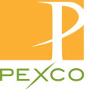 Pexco is a name brand manufacturer of Delineator devices.