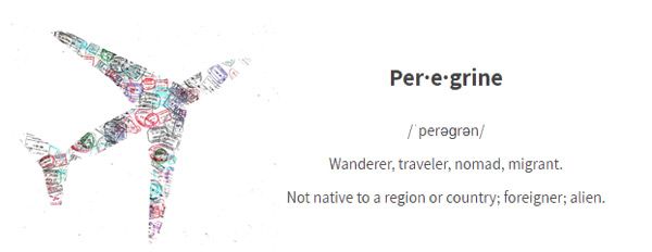 Airplane illustration with word "Peregrine" and its definition.