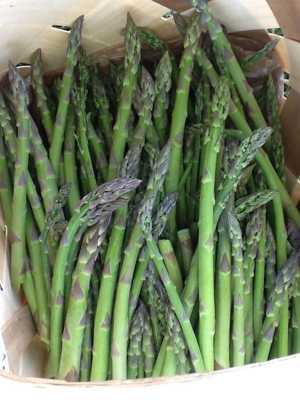 Asparagus