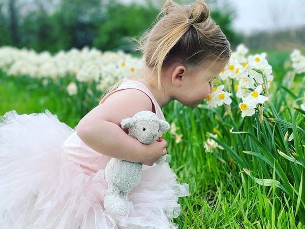 Little girl smelling daffodils