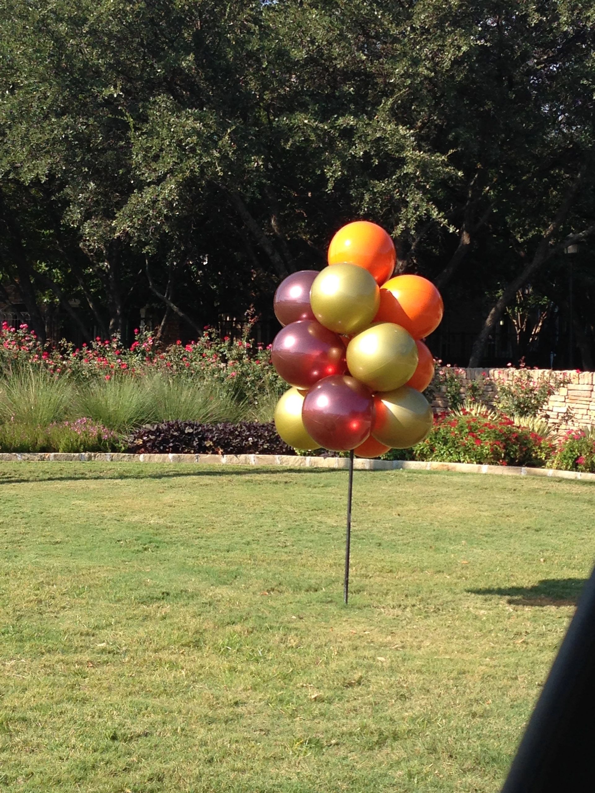 The Helium House Helium, Rentals, Reusable Balloons, Vinyl Balloons