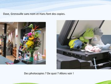 Fleurs en boutique et peluches sur photocopieur.