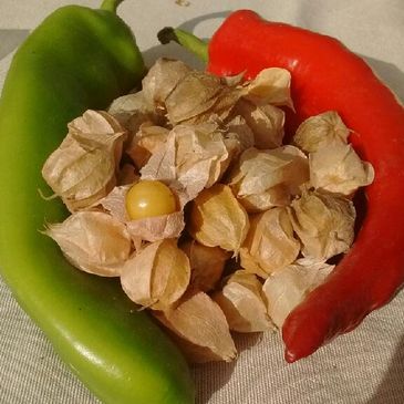 Ground Cherries and Anaheim Peppers
