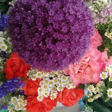 Allium and other freshly cut flowers