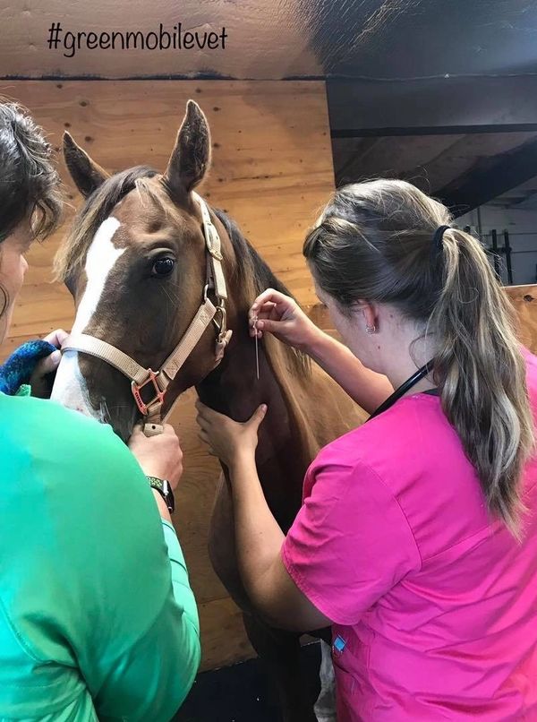 Dr. Jodyne Green with future veterinarian, Hannah Vesper